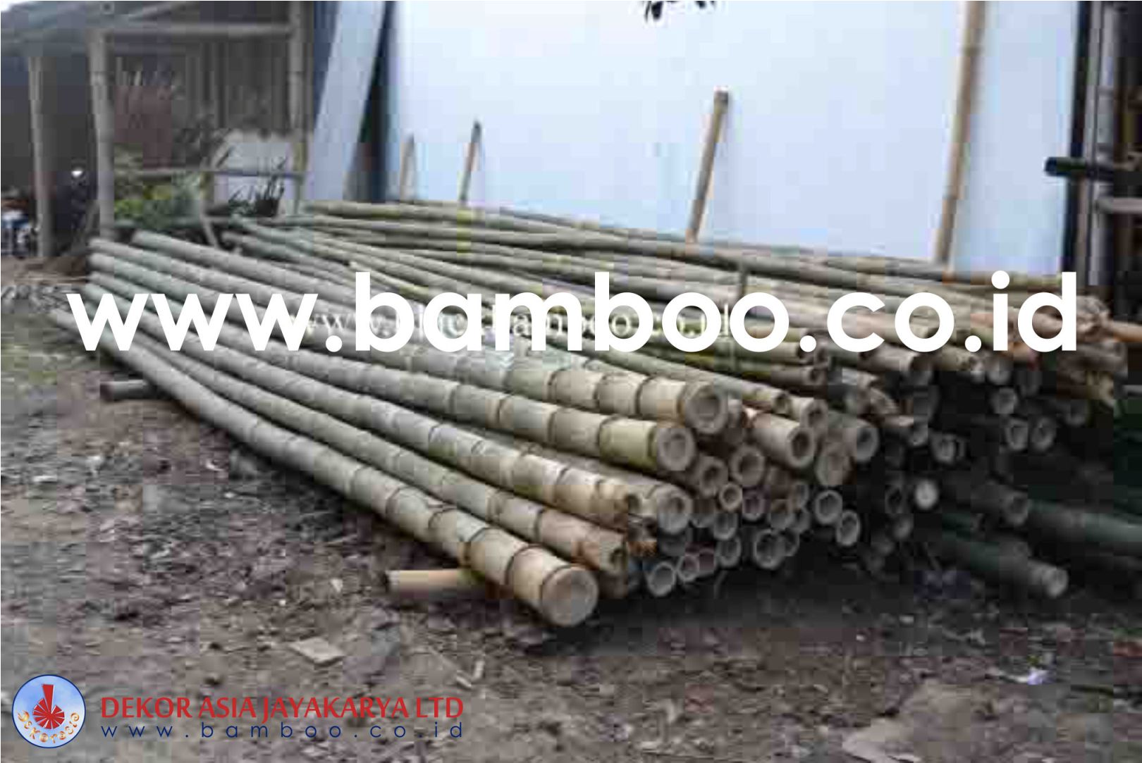 Bamboo Pole